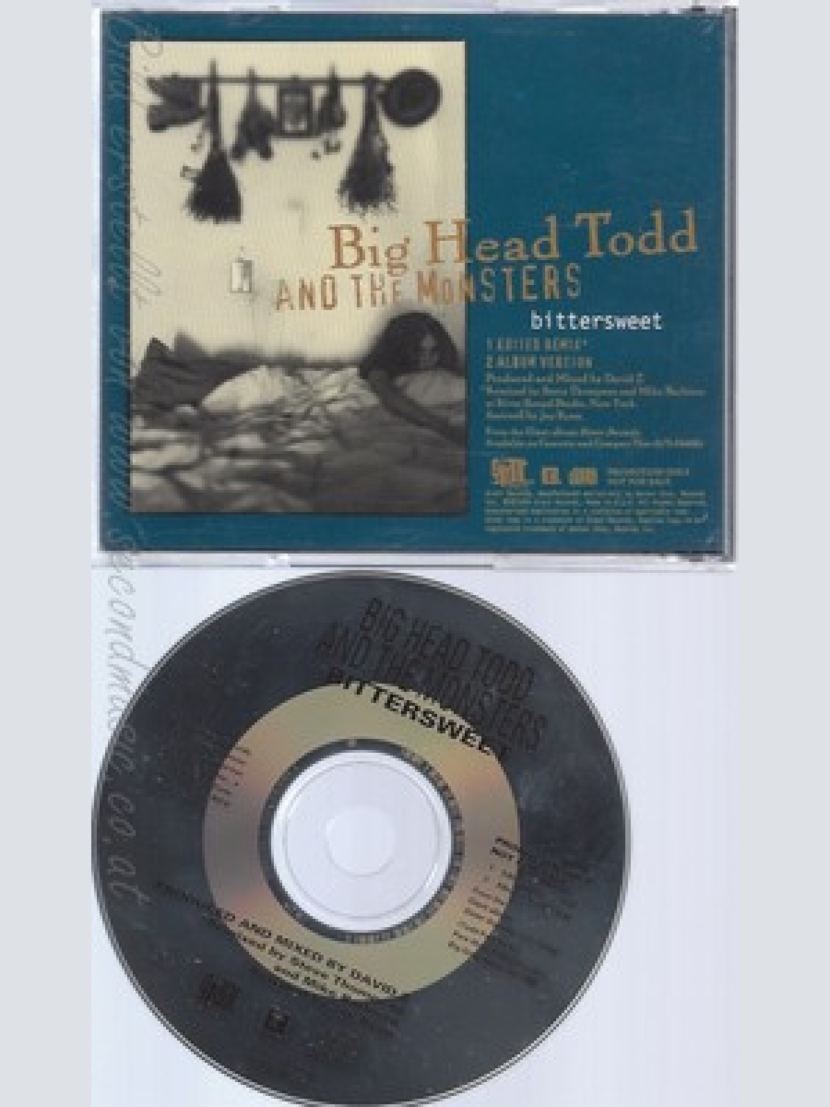 CD--BIG HEAD TODD AND THE MONSTERS--BITTERSWEET--PROMO