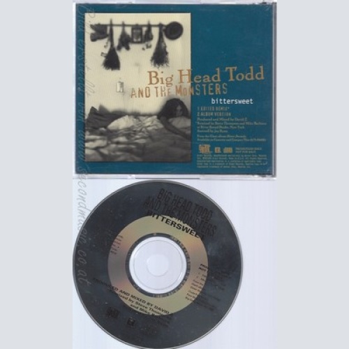 CD--BIG HEAD TODD AND THE MONSTERS--BITTERSWEET--PROMO