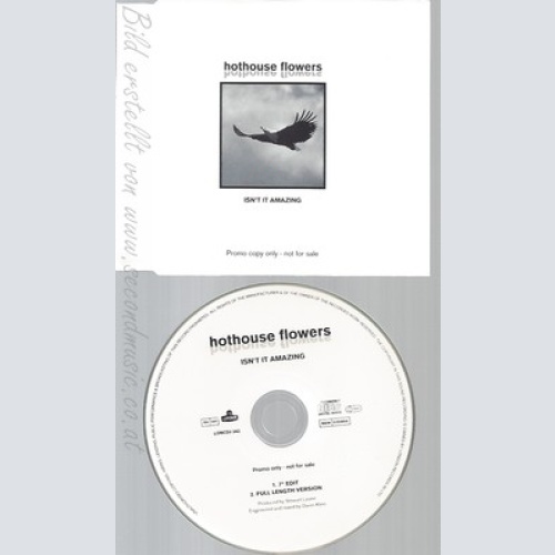 CD--HOTHOUSE FLOWERS--ISN'T IT AMAZING--PROMO