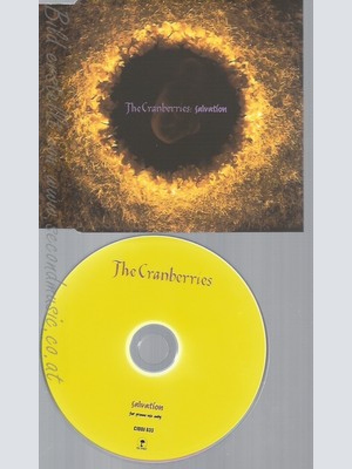 CD--THE CRANBERRIES--SALVATION--PROMO