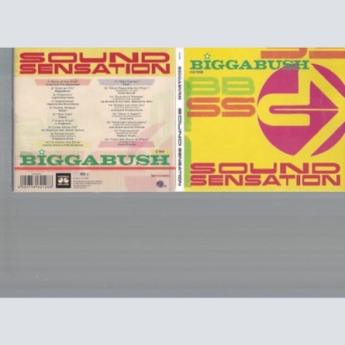 CD--GLYN "BIGGA" BUSH -- -- BIGGABUSH-SOUND SENSATION