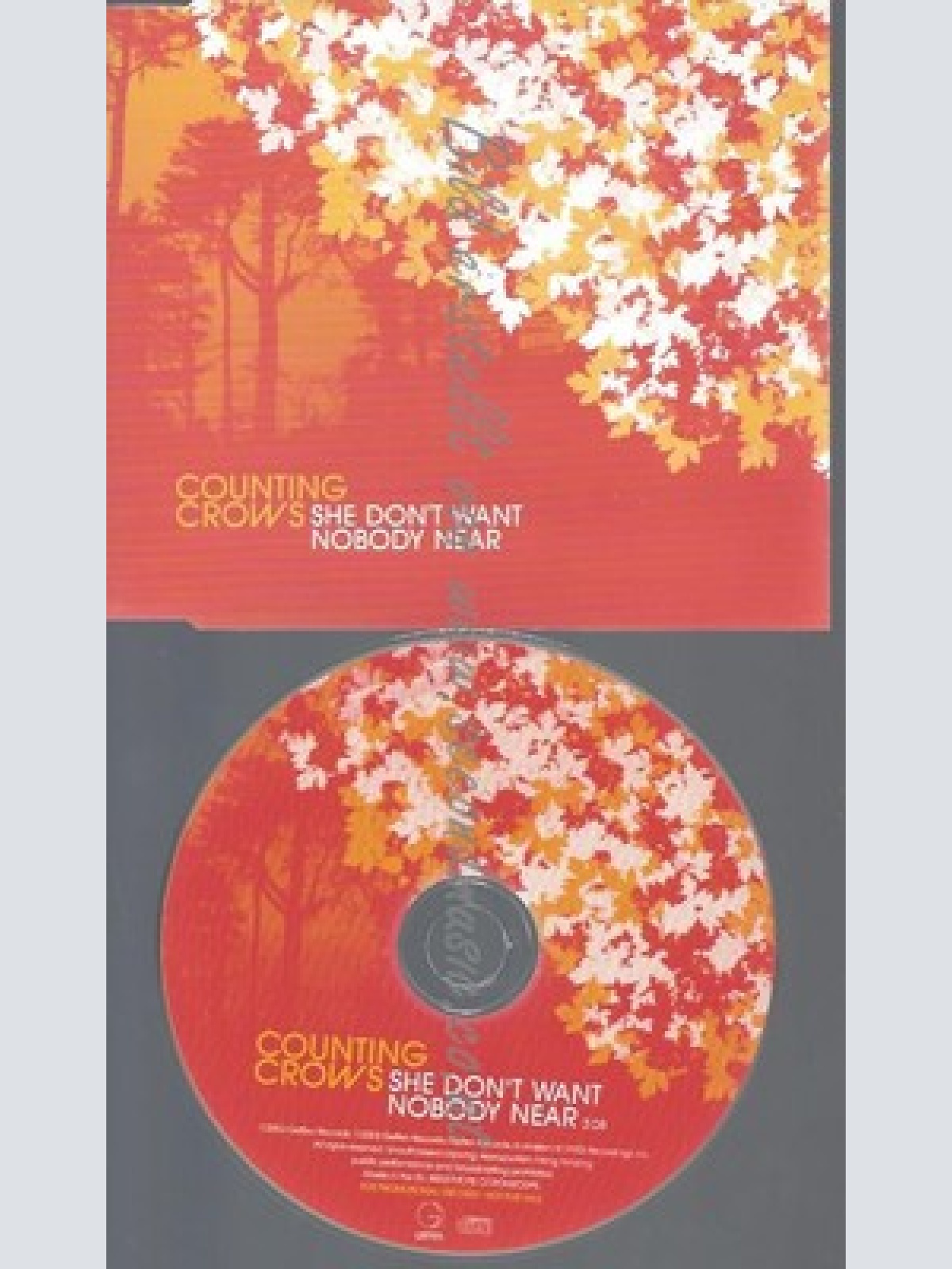 CD--PROMO--COUNTING CROWS--SHE DON'T WANT NOBODY NEAR