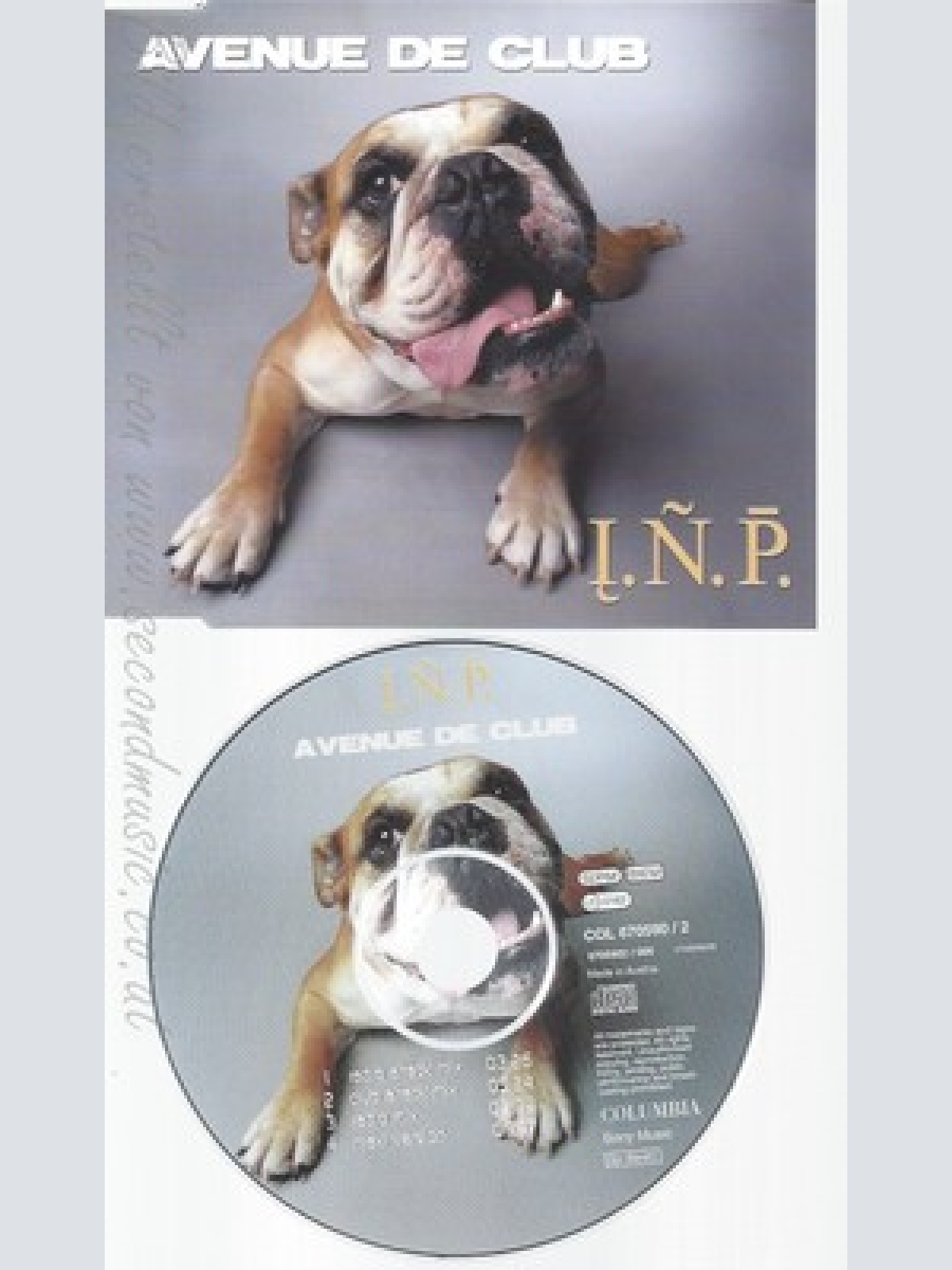 CD--I.N.P. -- --- AVENUE DE CLUB