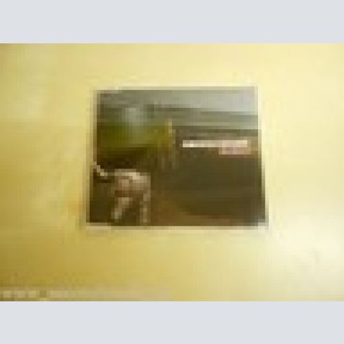 MAXI CD-- MONDSCHEINER--THE SILENCE--2 TRACKS