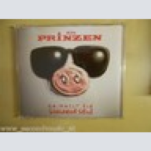 MAXI CD-- DIE PRINZEN --DU MUSST EIN SCHWEIN SEIN --4 TRACKS