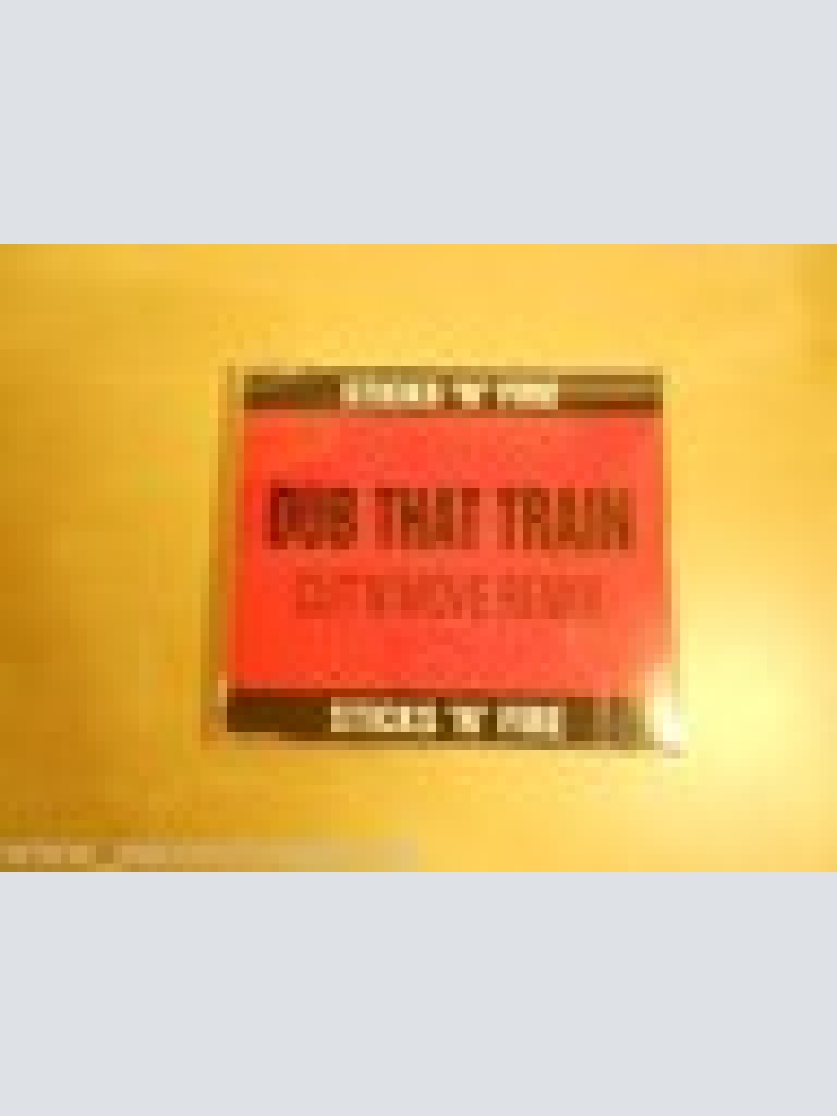 MAXI CD ----STICKS N FIRE--DUB THAT TRAIN--REMIX--3 TRACKS--
