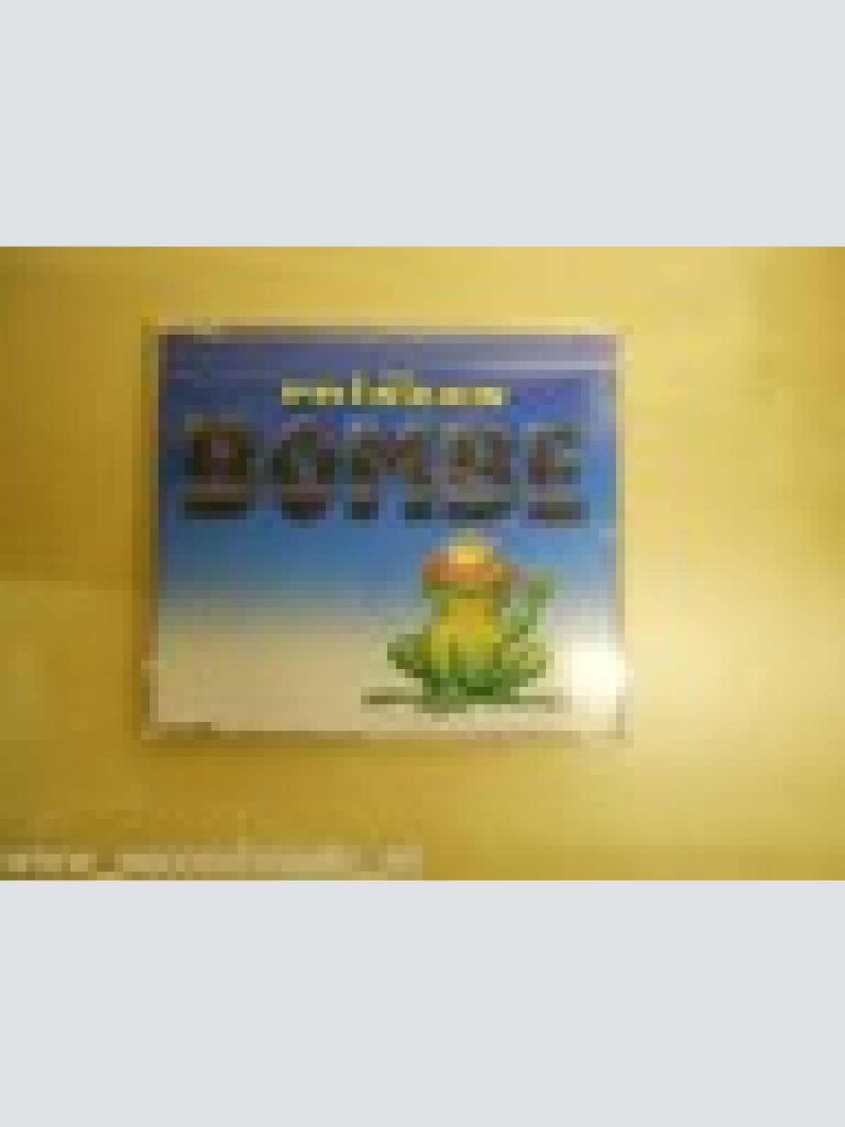 MAXI CD--DIE PRINZEN --BOMBE--5 TRACKS