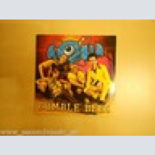 MAXI CD -AQUA--BUMBLE BEES--2  TRACKS-- CARDSLEEVE