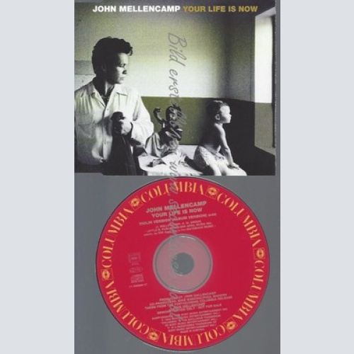CD--PROMO--JOHN COUGAR MELLENCAMP--YOUR LIFE IS NOW