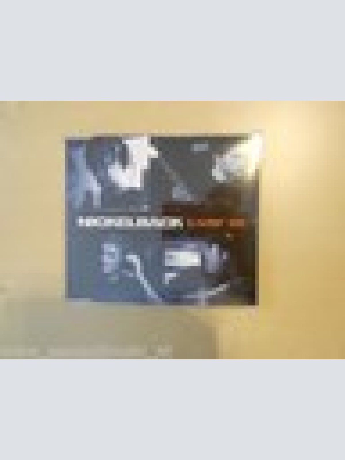 MAXI CD-- NICKELBACK --SAVIN ME--3  TRACKS--