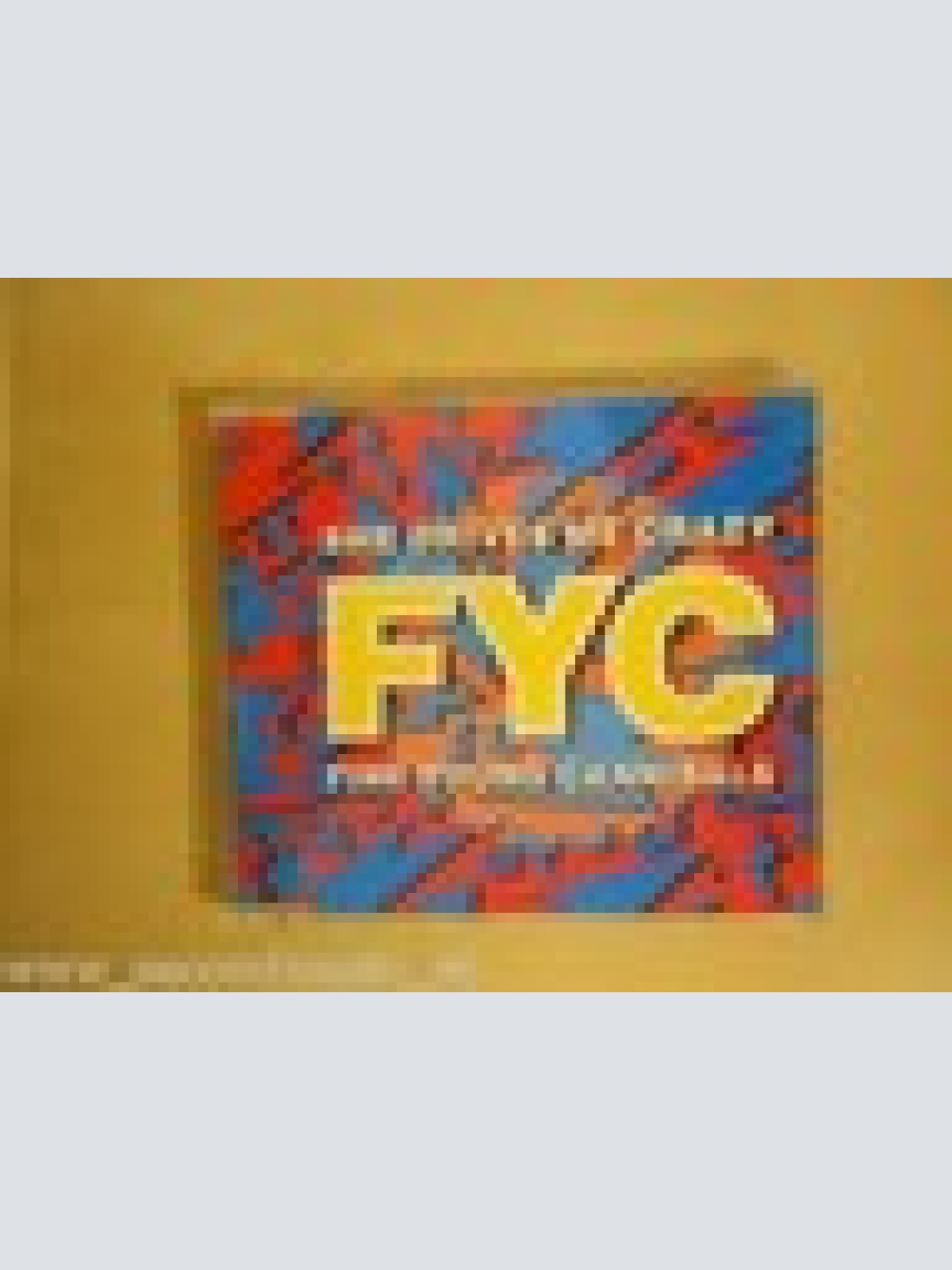 MAXI CD-- FYC--SHE DRIVES ME CRAZY--3   TRACKS--