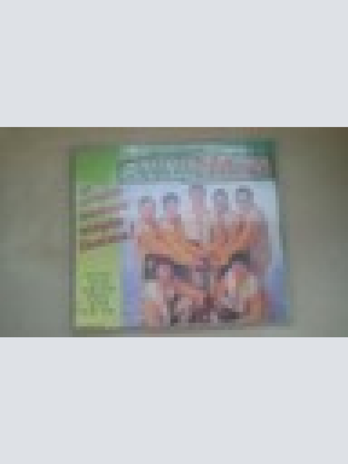 MAXI CD--SOUND ALPIN--SUPER SAMMA SINGEN TAMMA --3 TRACKS