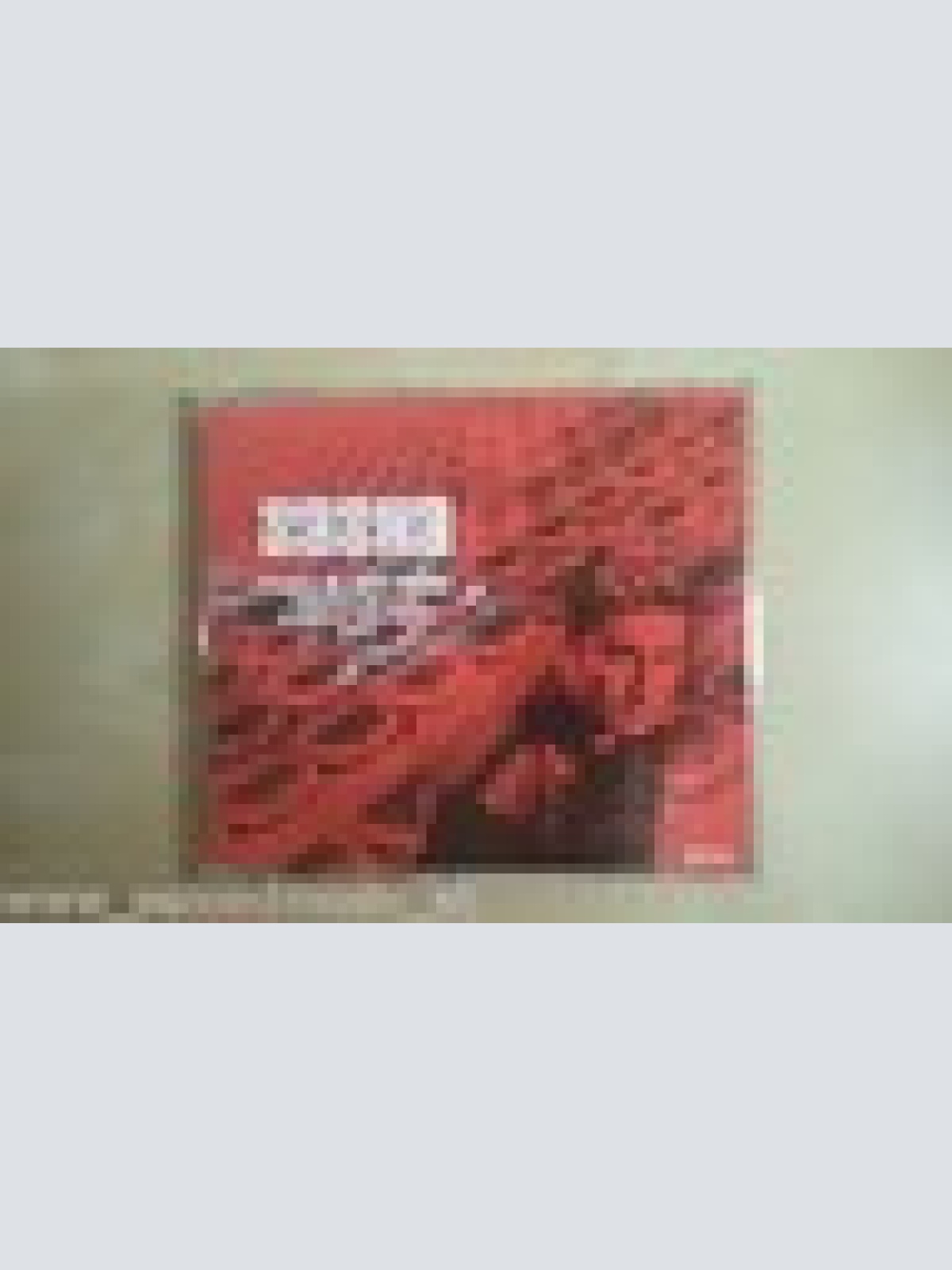 MAXI CD--SASHA--THIS TIME IS MY TIME--WM 2002--5 TRACKS