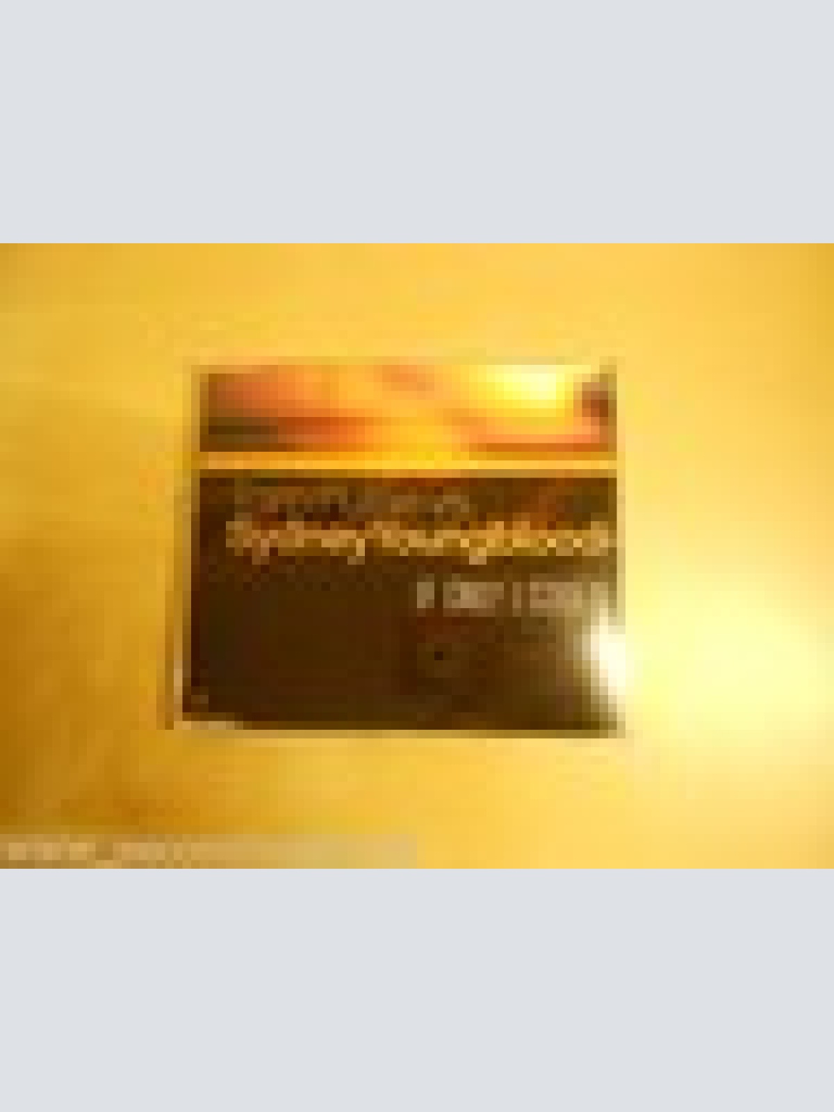 MAXI CD---SYDNEY YOUNGBLOOD--IF ONLY I COULD--5  TRACKS