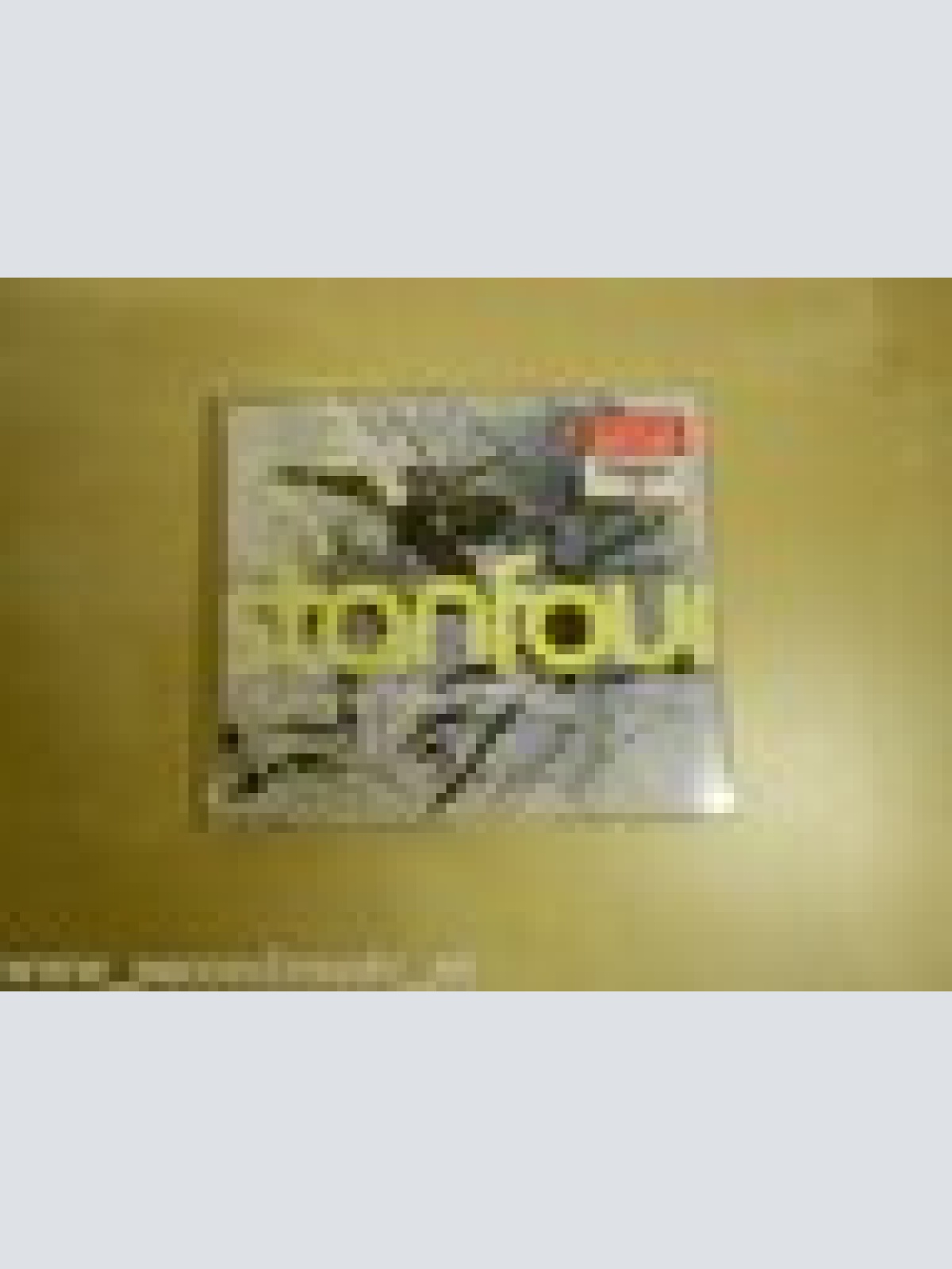 MAXI CD ----STANFOUR--WISHING YOU WELL--2 TRACKS--