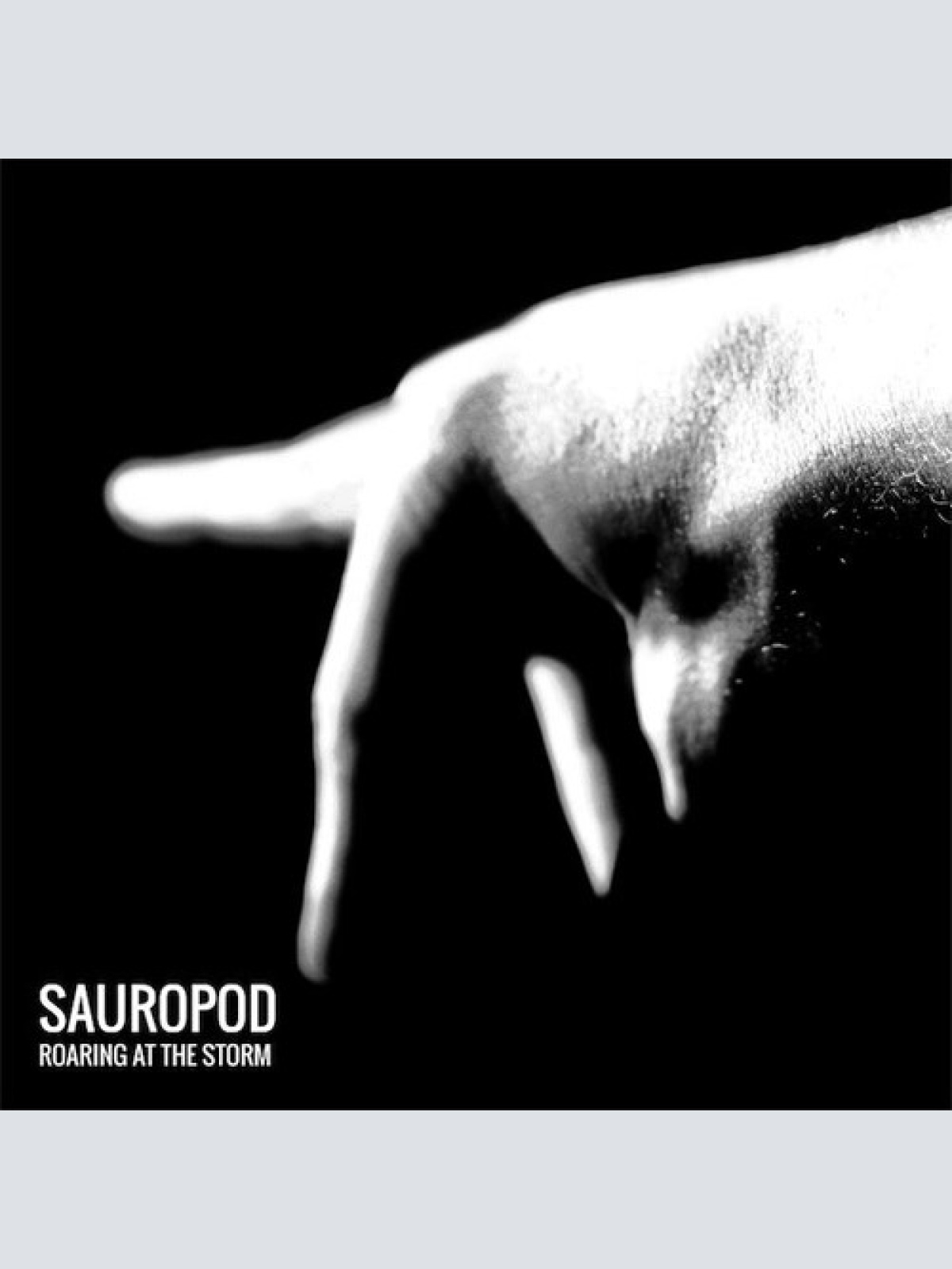 CD, Album Sauropod - Roaring At The Storm