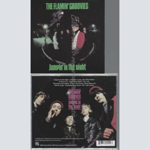 CD--THE FLAMIN' GROOVIES | --JUMPIN' IN THE NIGHT