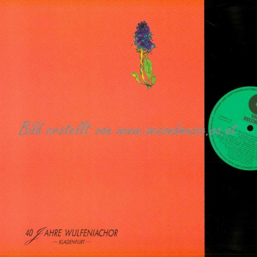 LP--Wulfeniachor Klagenfurt – 40 Jahre /  NM