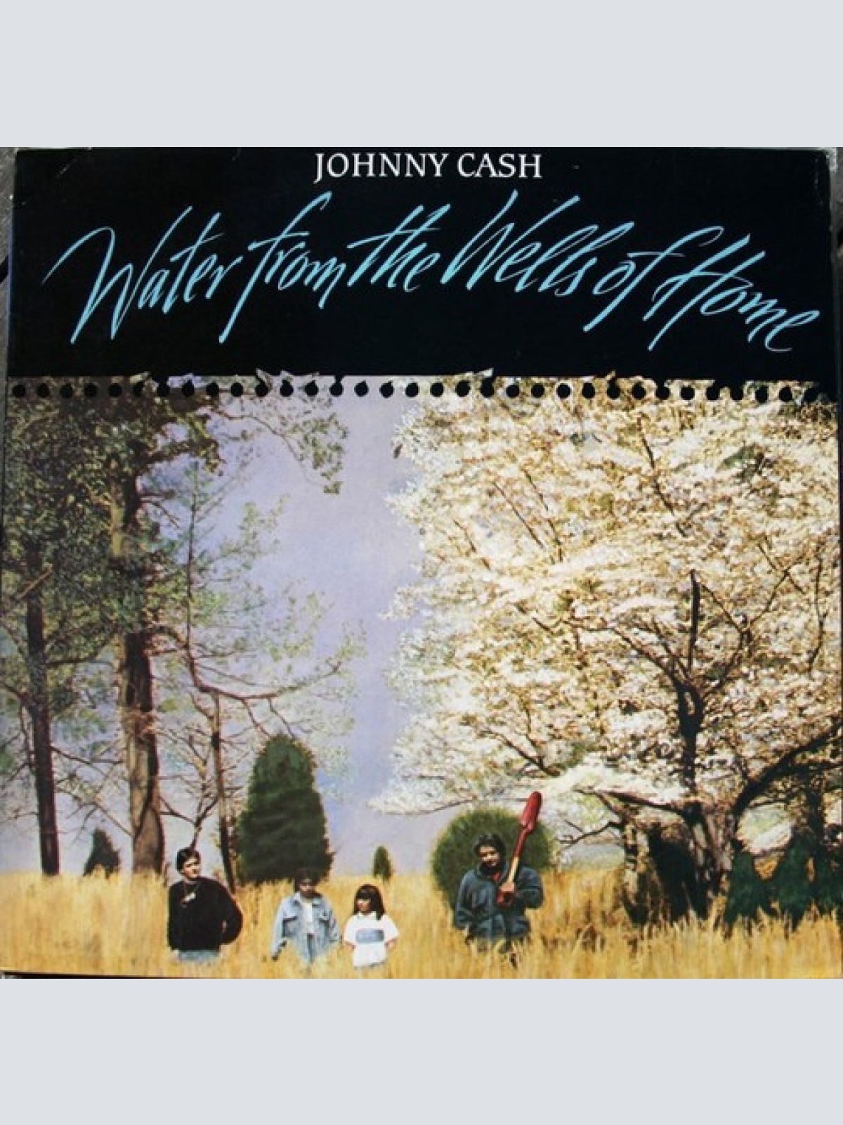 LP, Album Johnny Cash - Water From The Wells Of Home