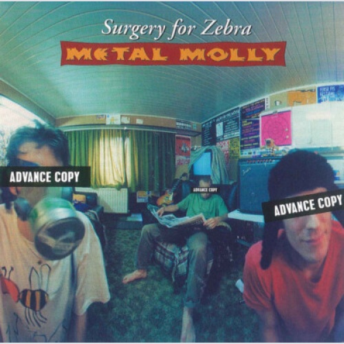 CD, Advance, Album, Promo Metal Molly - Surgery For Zebra