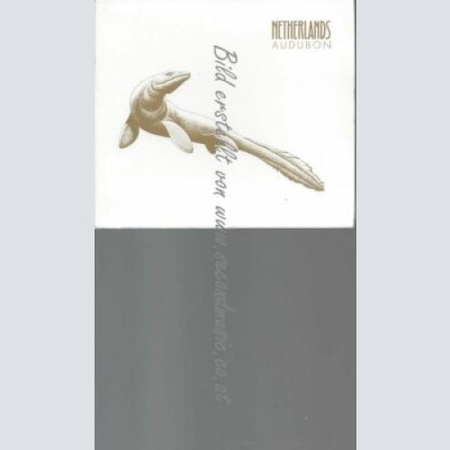 CD--NETHERLANDS | --AUDUBON