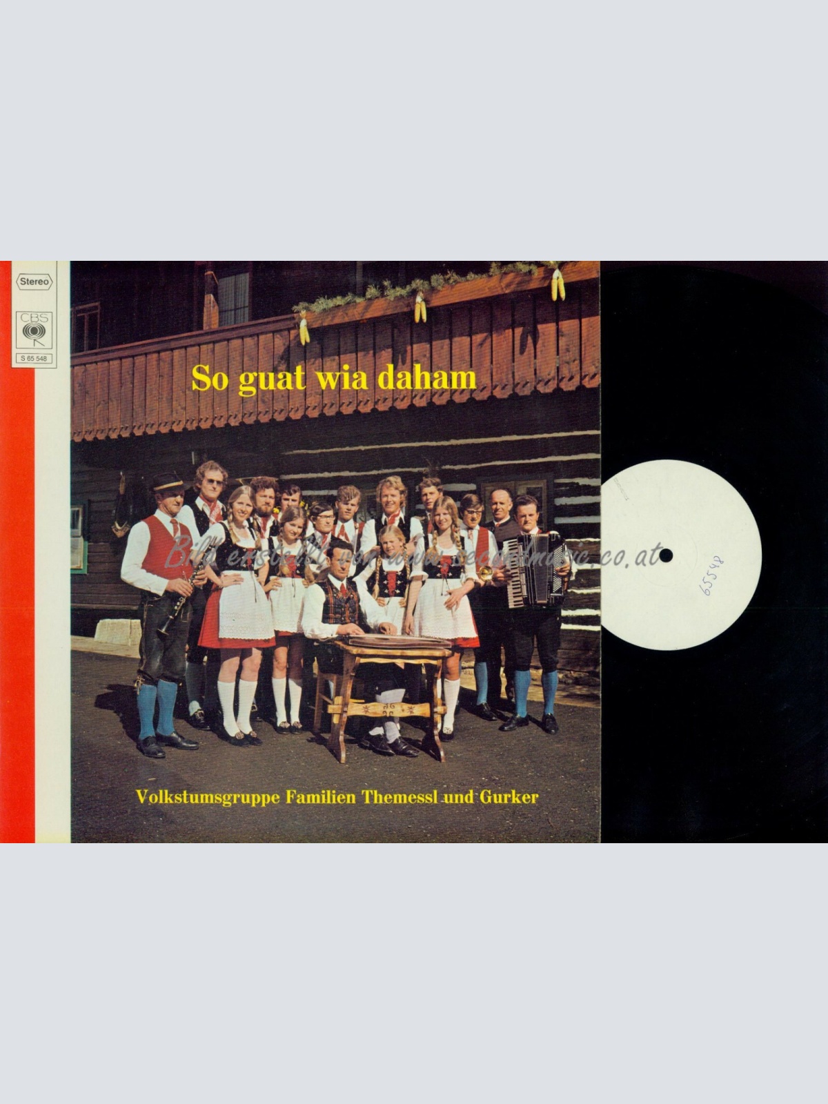 LP - VOLKSTUMSGRUPPE FAMILIEN THEMESSL UND GURKER SO GUAT WIA // MUSTERPLATTE