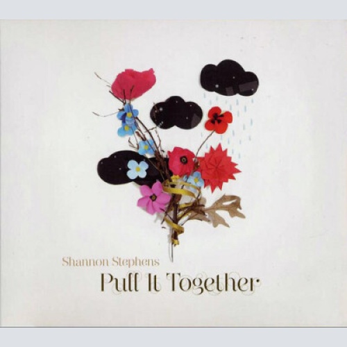 CD, Album, Dig Shannon Stephens - Pull It Together