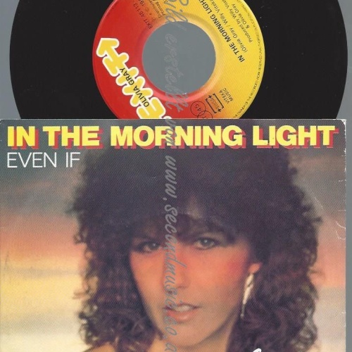 7"   Olivia Gray – In The Morning Light  ///DIFFRENT COVER
