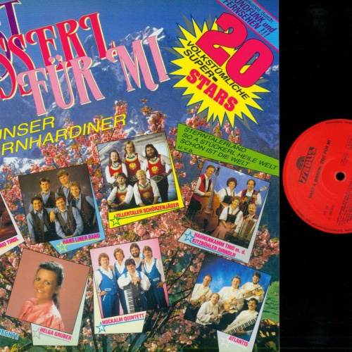 LP--Hast a bisserl Zeit für mi  20 Volkstümliche Stars  / NM