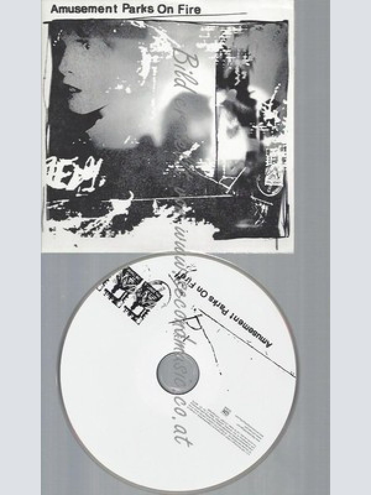 CD--CARDSLEEVE-AMUSEMENT PARKS ON FIRE