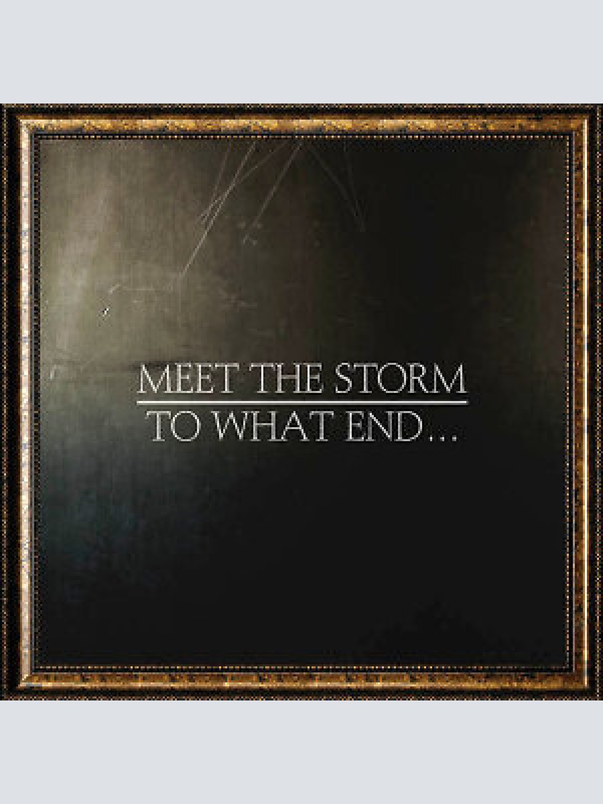 CD Meet The Storm - To What End...