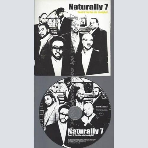 PROMO CD--NATURALLY 7--FEEL IT--2TR