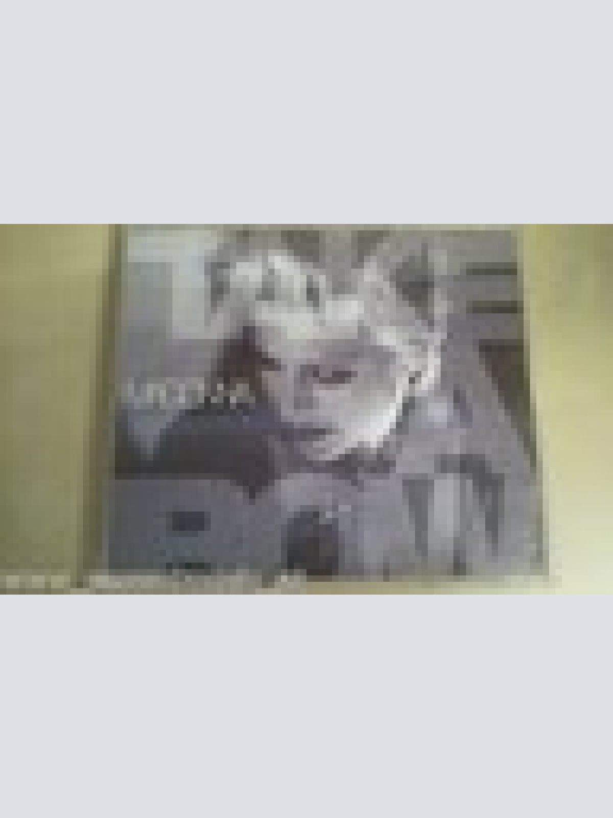 MAXI --MADONNA--TAKE A BOW --3 TRACKS