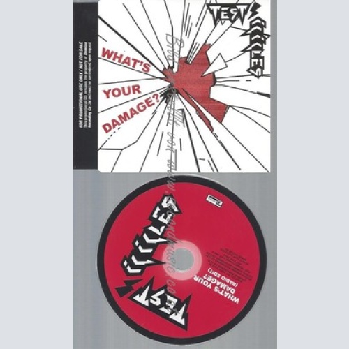 CD--TEST ICICLES--WHATS YOUR DAMAGE--PROMO
