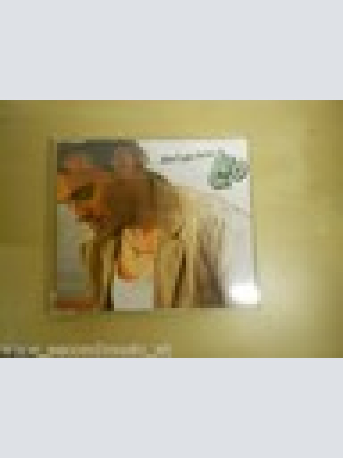 MAXI CD-- LEO--WON'T YOU KNOW--2 TRACKS