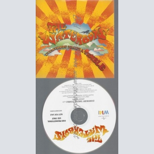 PROMO CD--THE WATHERBOYS--EVERYBODY TAKES A TUMBLE--1TR