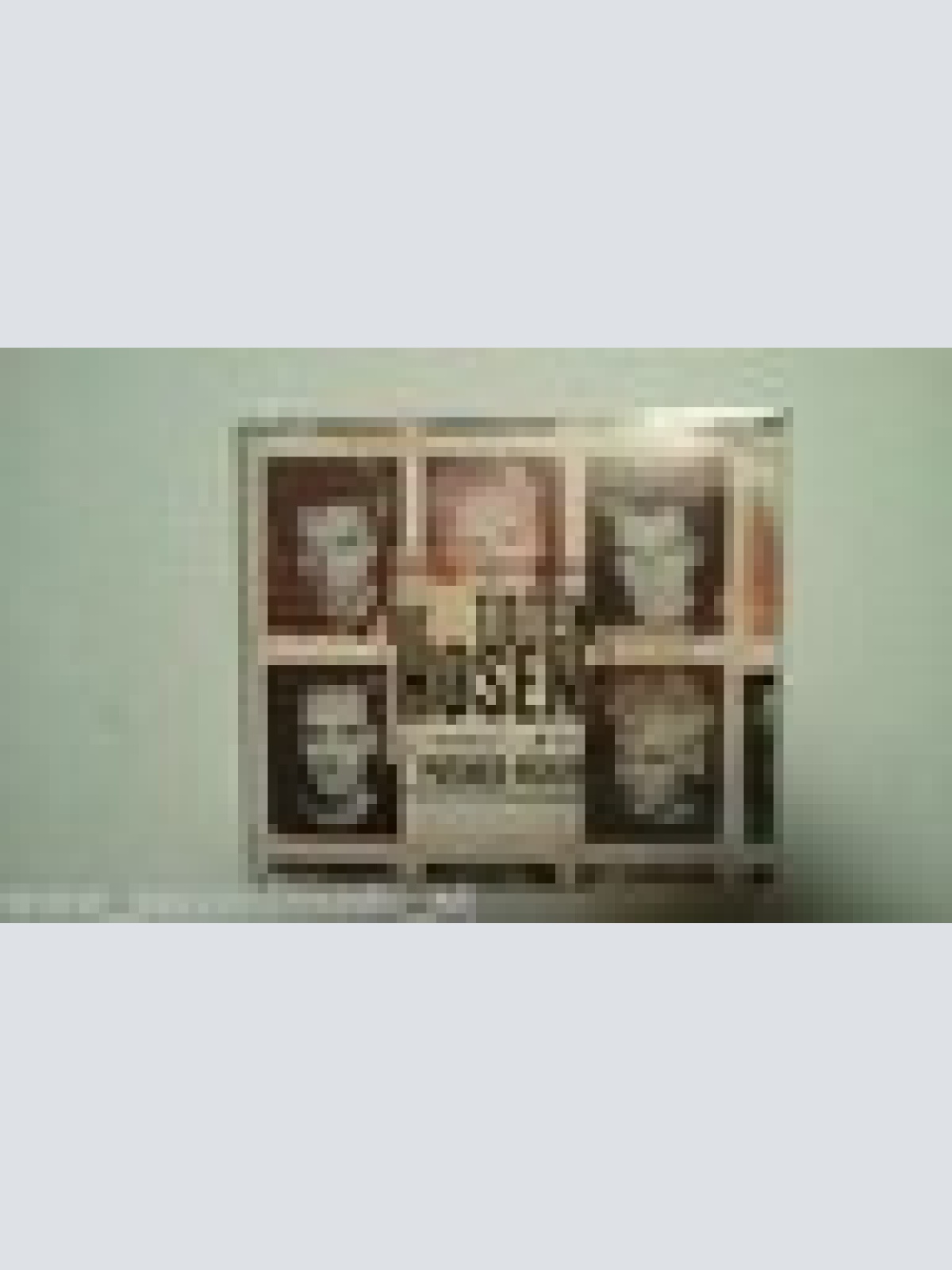 MAXI CD-- DIE TOTEN HOSEN --PUSHED AGAIN--4  TRACKS