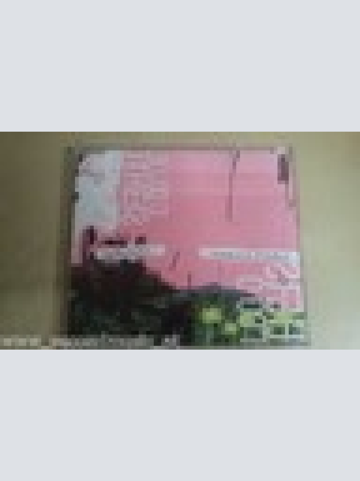 MAXI CD--THE BLOOD BROTHERS--AMBULANCE VS AMBULANCE--3 TRACKS