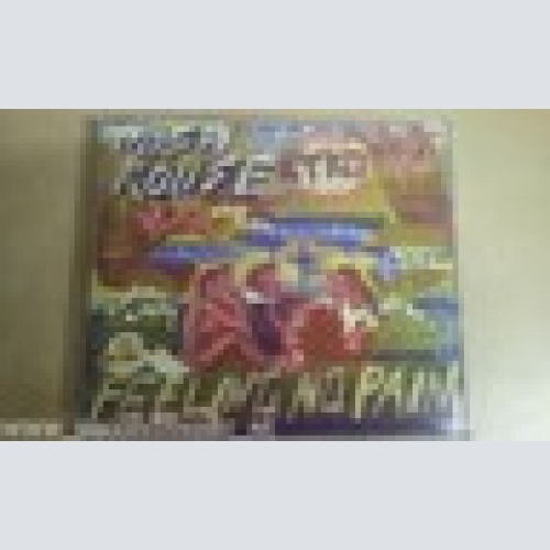 MAXI CD -JOSH ROUSE --FEELING NO PAIN--3  TRACKS