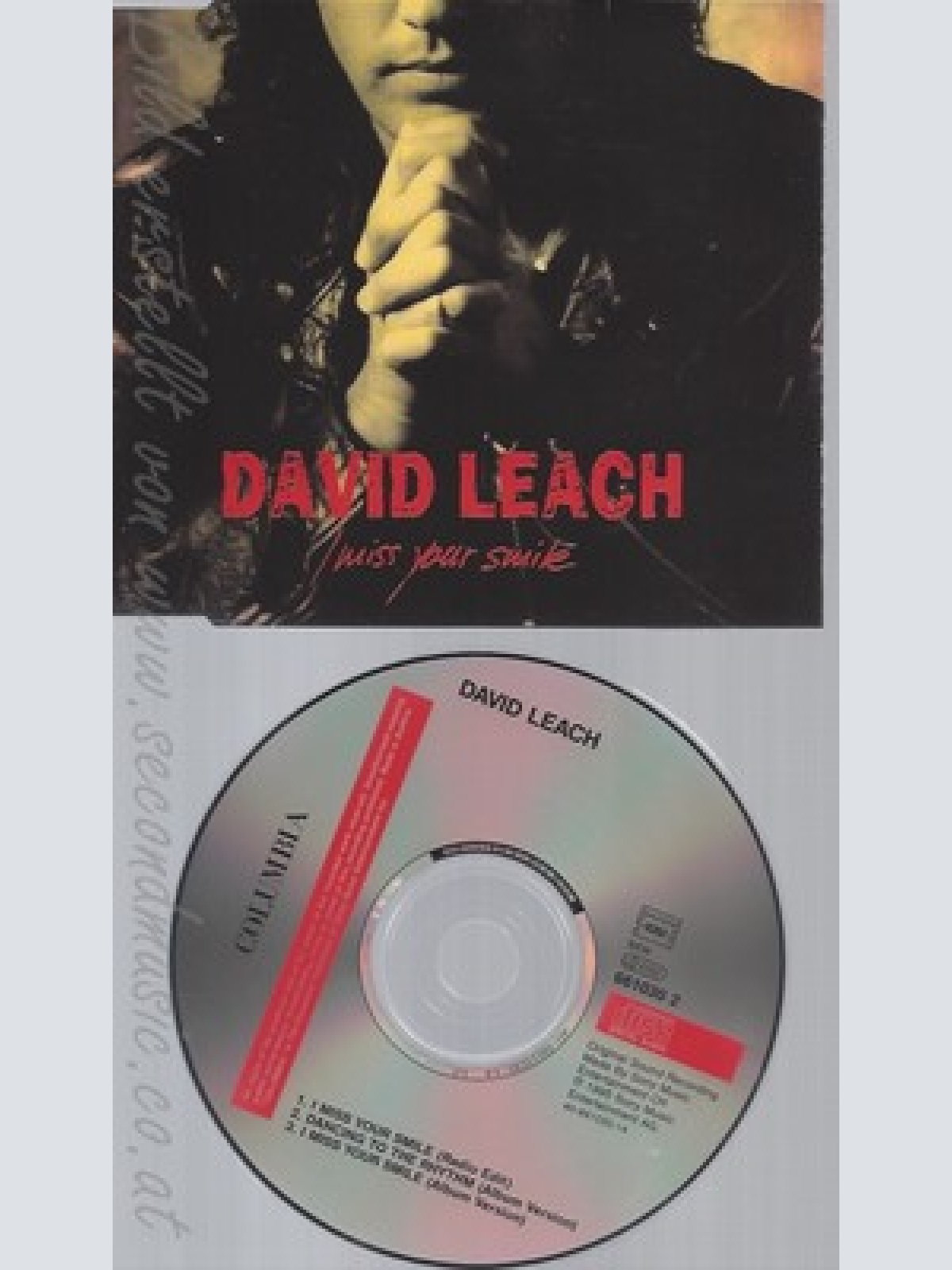 MAXI CD--DAVID LEACH --I MISS YOUR SMILE