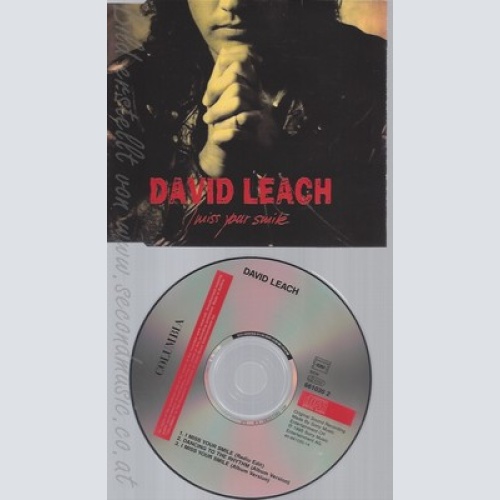 MAXI CD--DAVID LEACH --I MISS YOUR SMILE