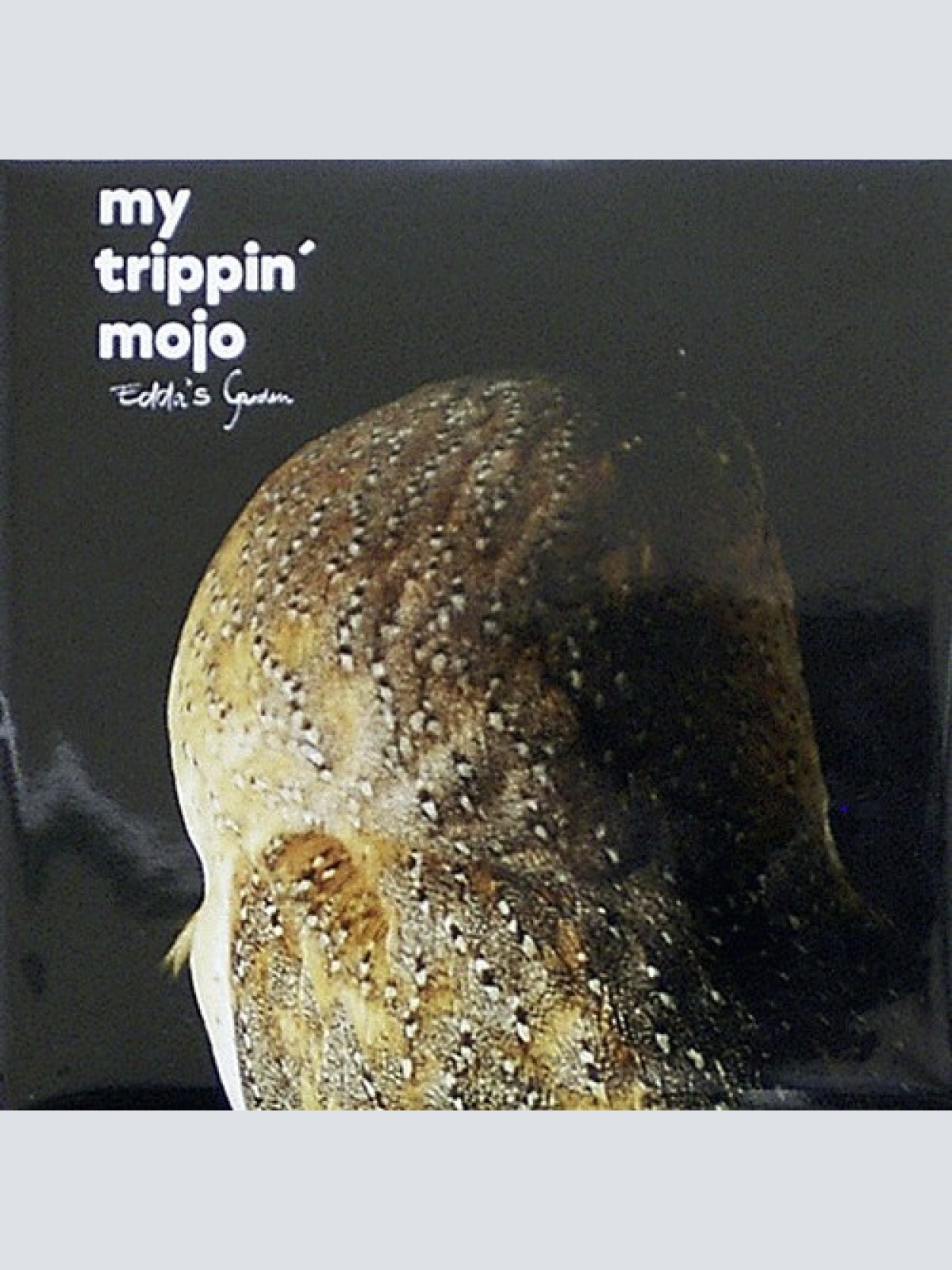 CD, Album, Promo My Trippin‘ Mojo - Edda's Garden