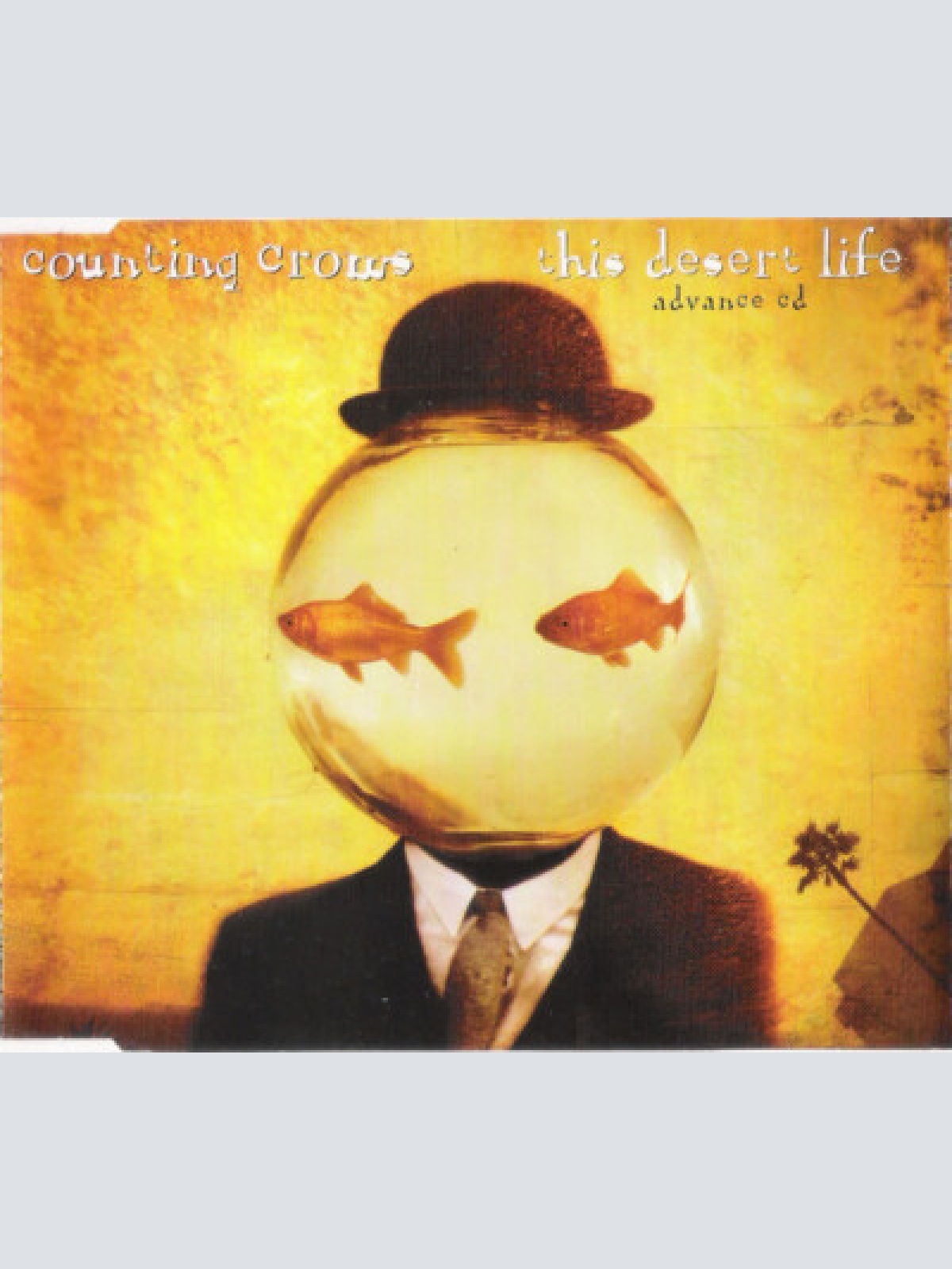 CD, Album, Promo Counting Crows - This Desert Life - Advance CD