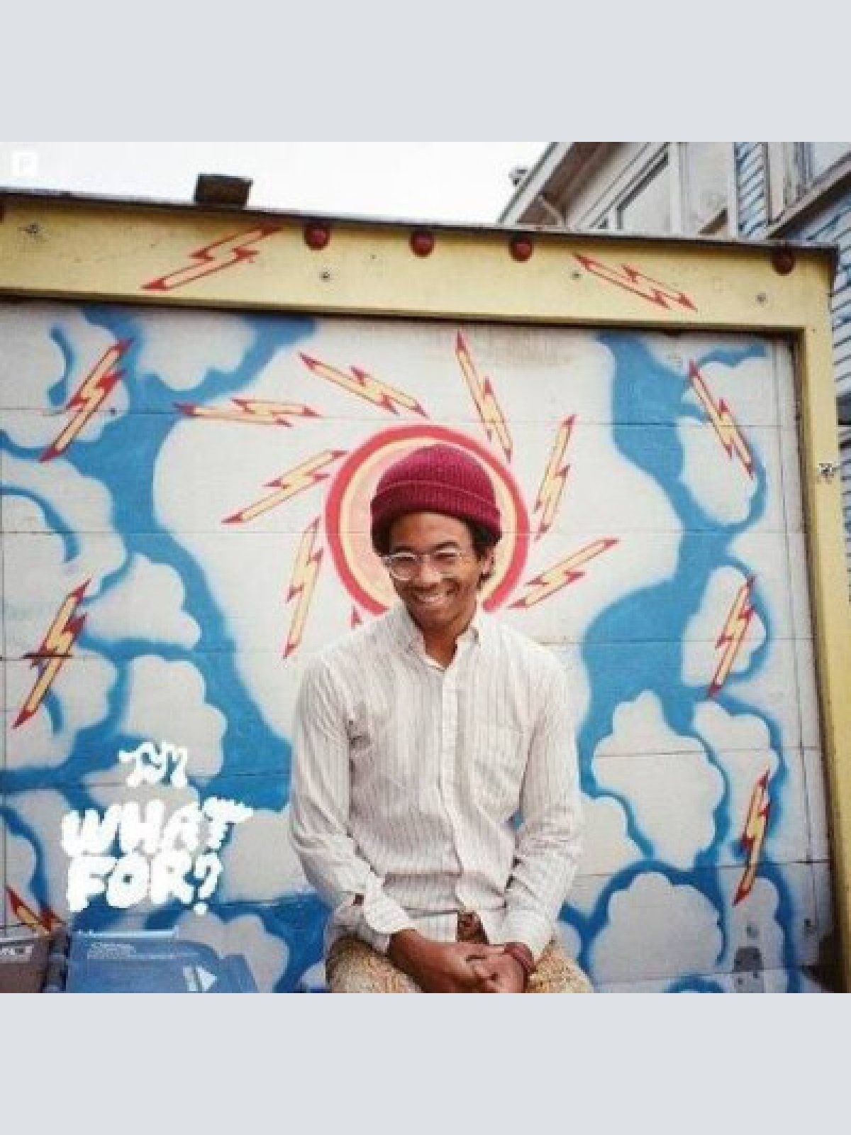 LP, Album Toro Y Moi - What For?