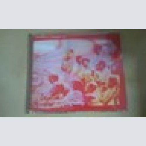 MAXI CD--INFADELS--JAGGER 67---3 TRACKS