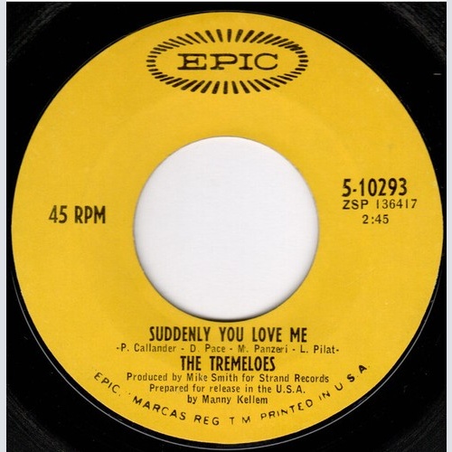 7", Single, Styrene, San The Tremeloes - Suddenly You Love Me