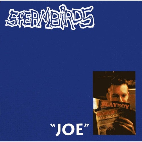 CD, Album Spermbirds - Joe