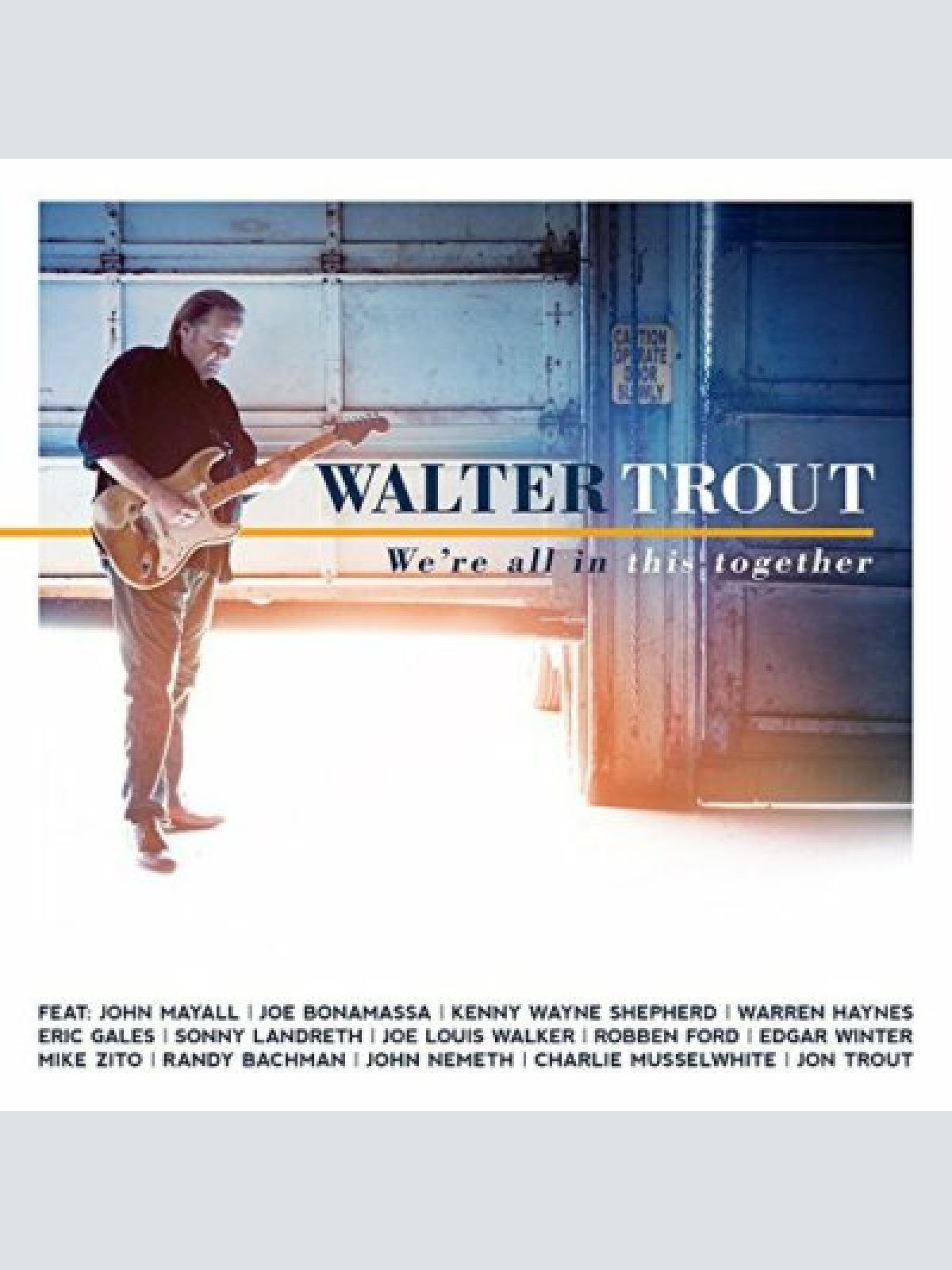 LP--  Walter Trout ?– We're All In This Together  // 2 × Vinyl, LP, Album, Gatef