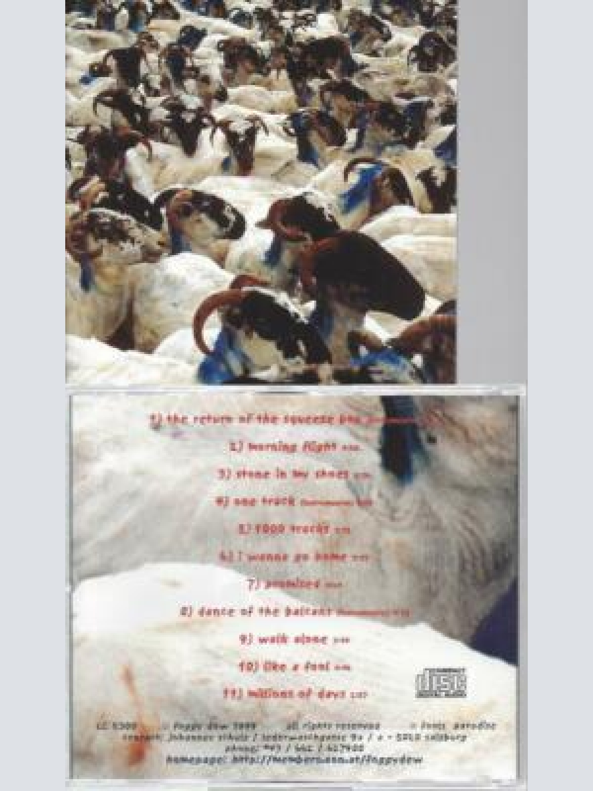 CD -  Foggy Dew When i'm there