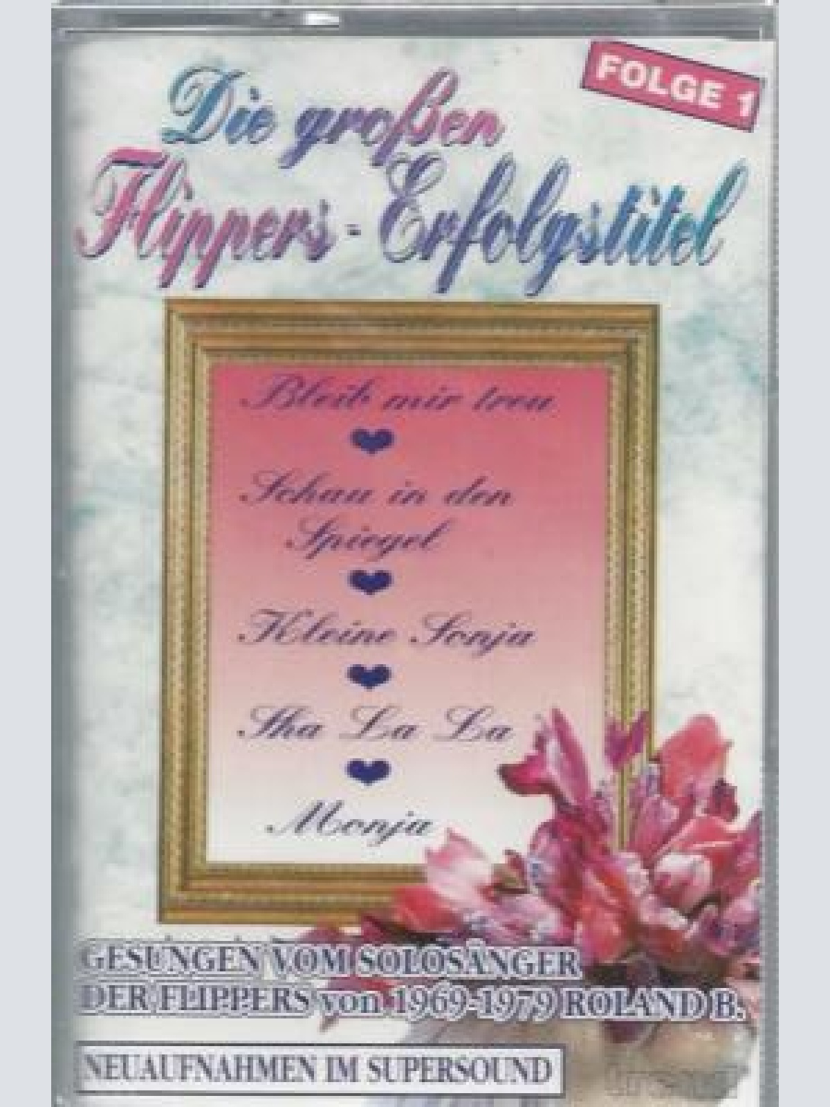 MC---Roland B. -- Die grossen Flippers Erfolgstitel  -Folge 1